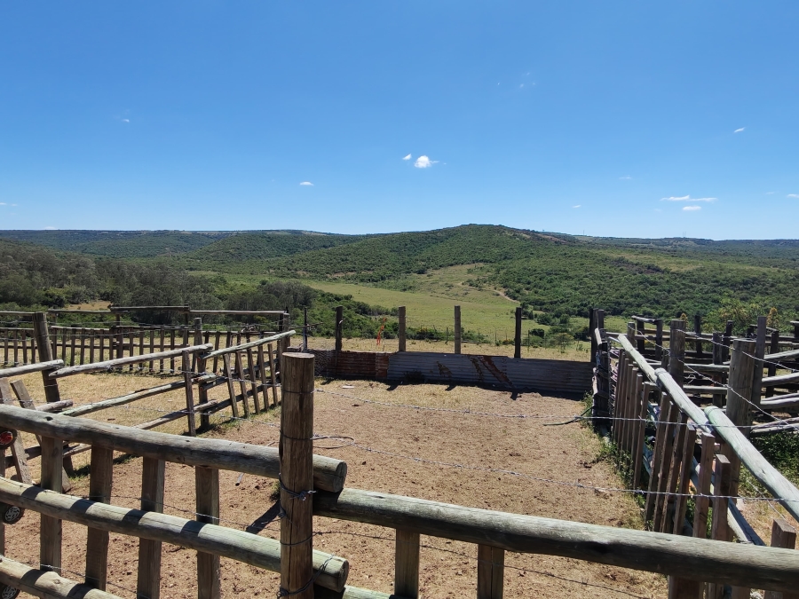3 Bedroom Property for Sale in Komga Rural Eastern Cape